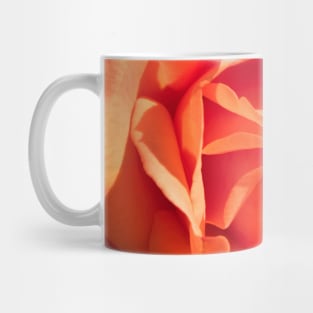 Orange Creamsicle Rose Mug